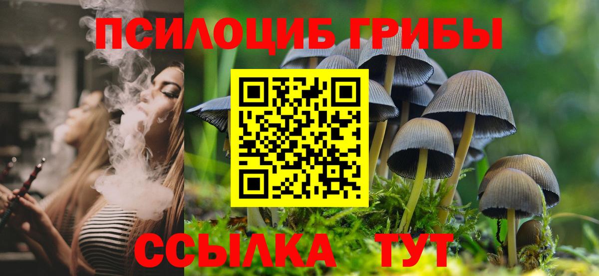 Псилоцибиновые грибы прущие грибы Лосино-Петровский